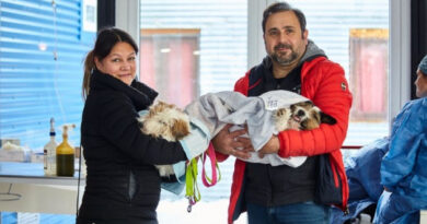 La Municipalidad de Ushuaia realizó una Jornada de Castración de Canes